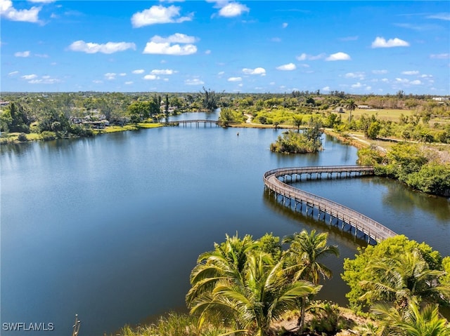 bird's eye view featuring a water view