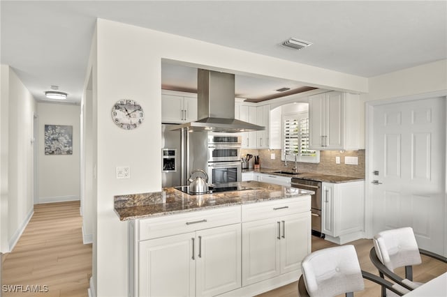 kitchen with ventilation hood, decorative backsplash, white cabinets, stainless steel appliances, and a sink