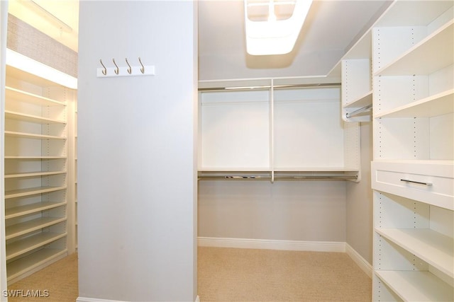 spacious closet with carpet floors