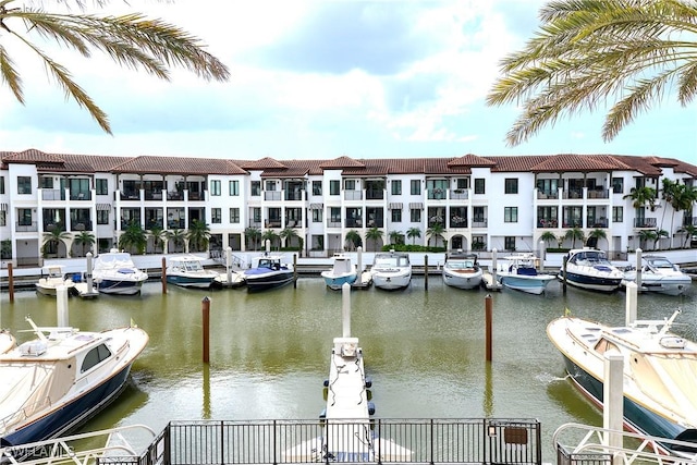 dock area with a water view