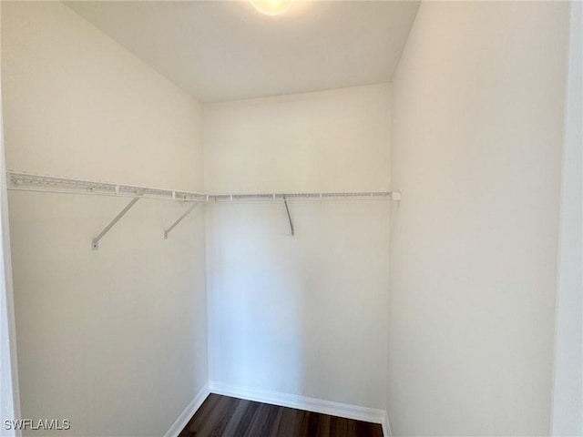 walk in closet featuring dark wood-type flooring