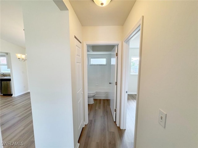 hallway with baseboards and wood finished floors