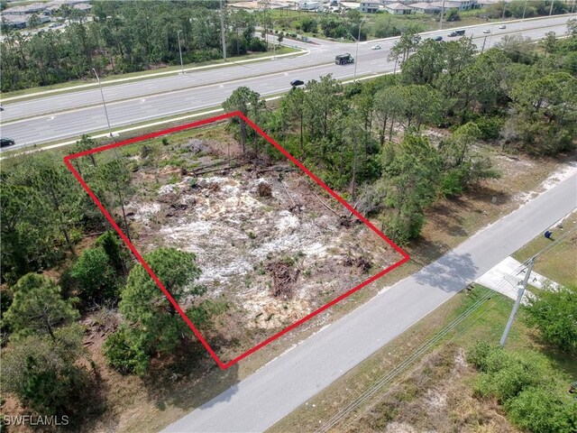 924 Meadow Rd, Lehigh Acres, FL 33973 - photo 3