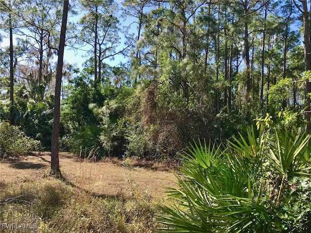 2208 Jackson Ave, Alva, FL 33920 - photo 39