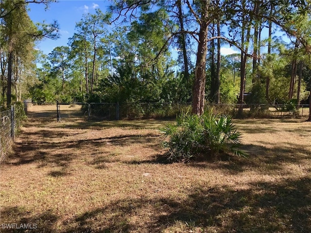 2208 Jackson Ave, Alva, FL 33920 - photo 33