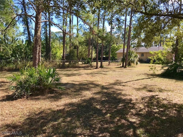 2208 Jackson Ave, Alva, FL 33920 - photo 34