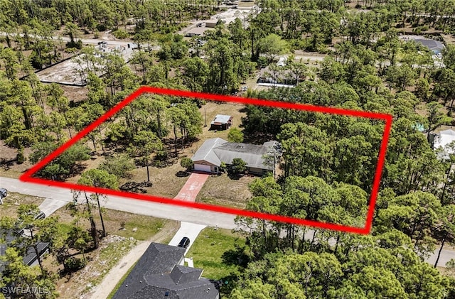 2208 Jackson Ave, Alva, FL 33920 - photo 2