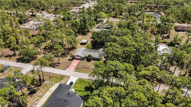 2208 Jackson Ave, Alva, FL 33920 - photo 41