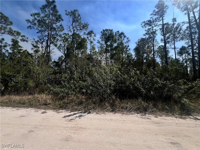 8158 Gewant Blvd, Punta Gorda FL, 33982 land for sale