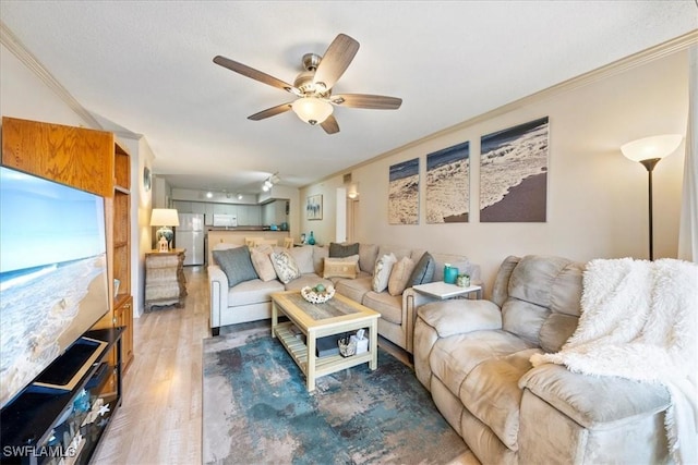 living area with a ceiling fan, wood finished floors, and ornamental molding