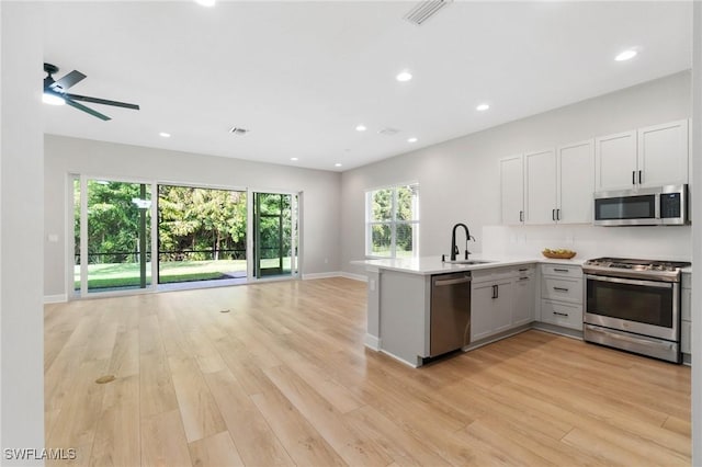 kitchen featuring appliances with stainless steel finishes, open floor plan, a peninsula, light wood-style floors, and a sink