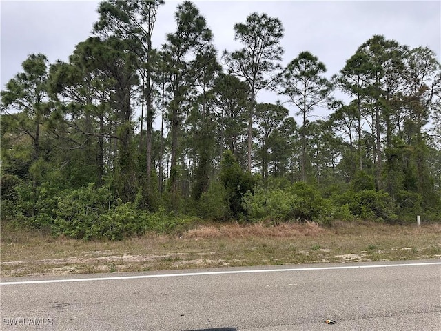 918 Homestead Rd S, Lehigh Acres FL, 33974 land for sale