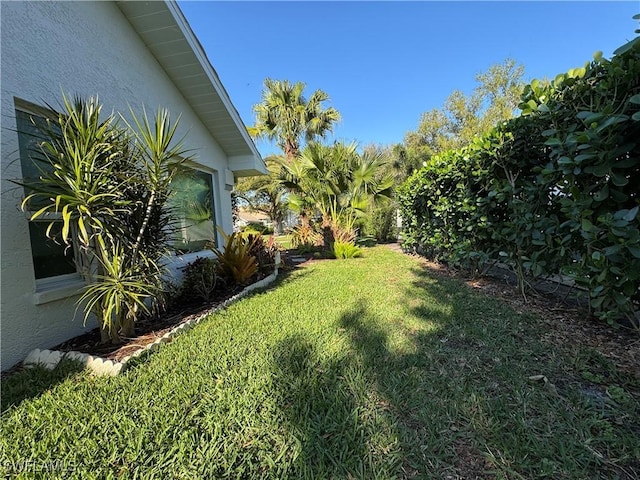 view of yard