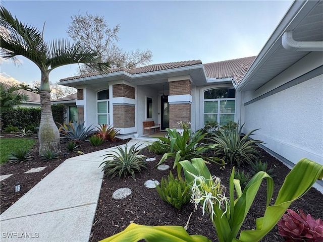 doorway to property with a tile roof and stucco siding