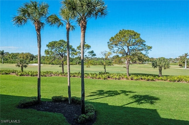 view of property's community with a yard