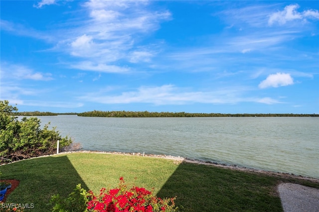 view of water feature