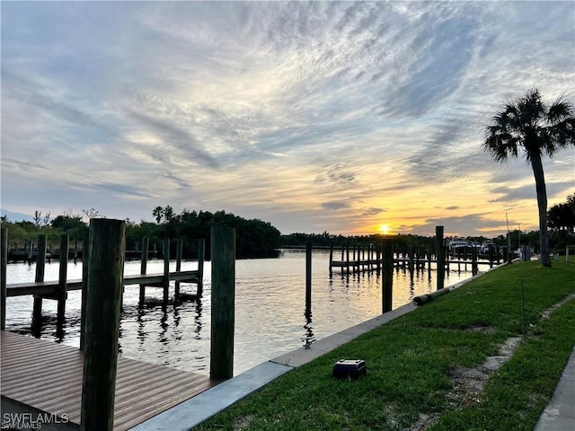 dock area with a yard and a water view