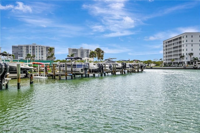 water view featuring a dock