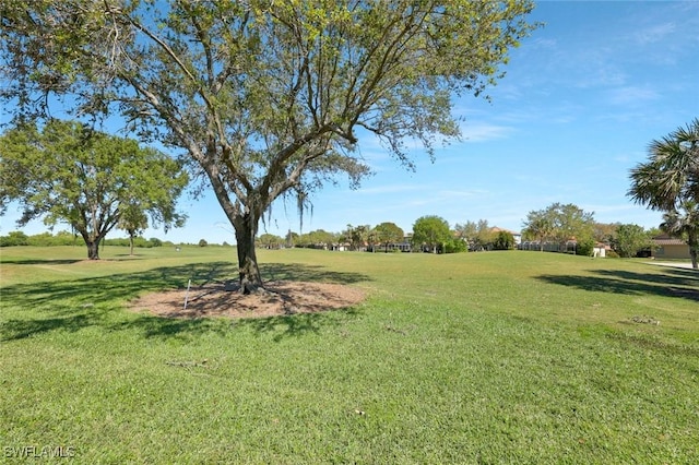 1821 Lema Ct, Naples, FL 34120 - view of yard
