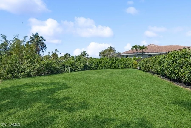 5311 Harborage Dr, Fort Myers, FL 33908 - view of green lawn