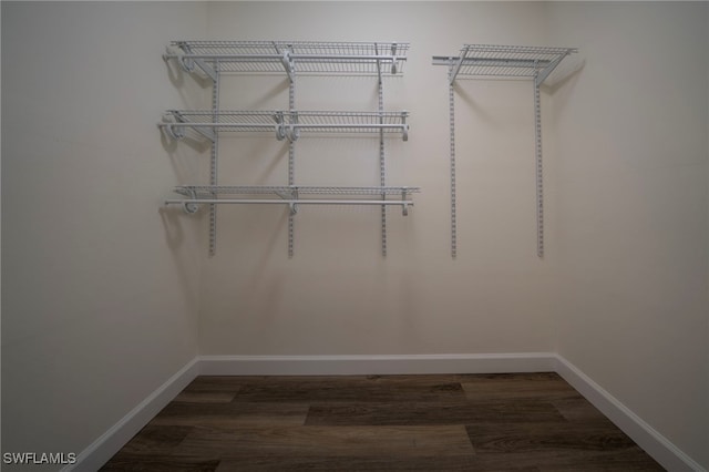 walk in closet with wood finished floors