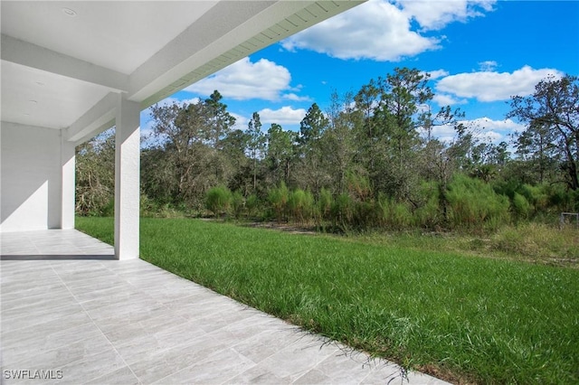 view of yard featuring a patio area