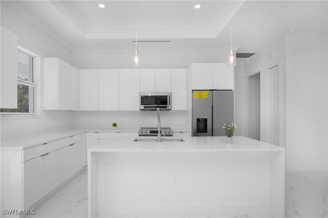 kitchen featuring marble finish floor, a tray ceiling, appliances with stainless steel finishes, and a sink