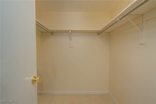 view of spacious closet