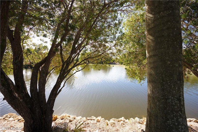 view of water feature