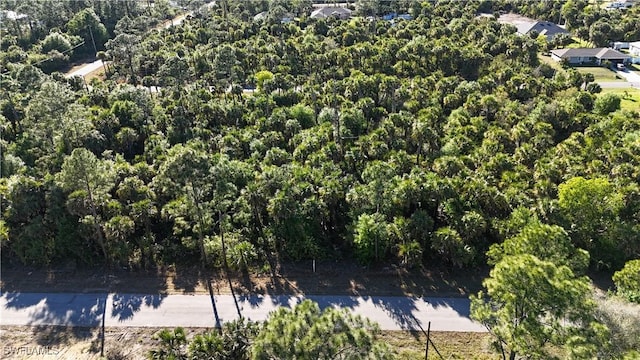 132 National Ave S, Lehigh Acres FL, 33974 land for sale