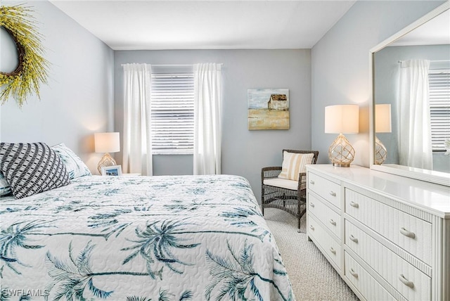 bedroom featuring multiple windows and carpet