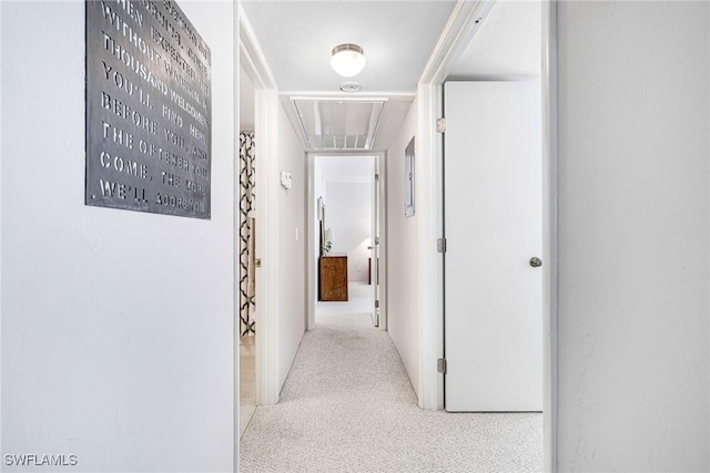 hall featuring carpet flooring and attic access