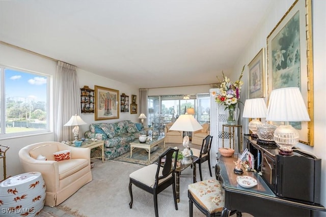 living area with carpet floors