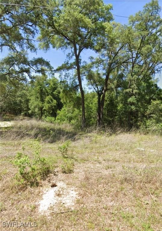 20371 SW 69th Pl, Dunnellon FL, 34431 land for sale