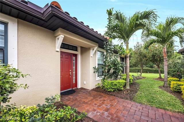 entrance to property featuring a lawn and stucco siding