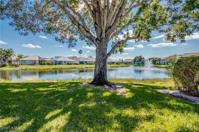 water view with a residential view