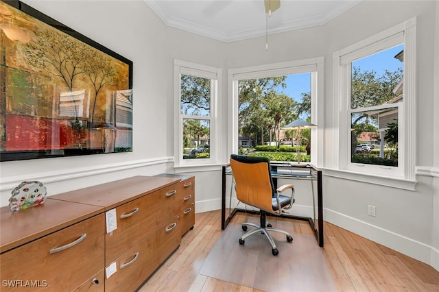 office area featuring baseboards, crown molding, and light wood finished floors