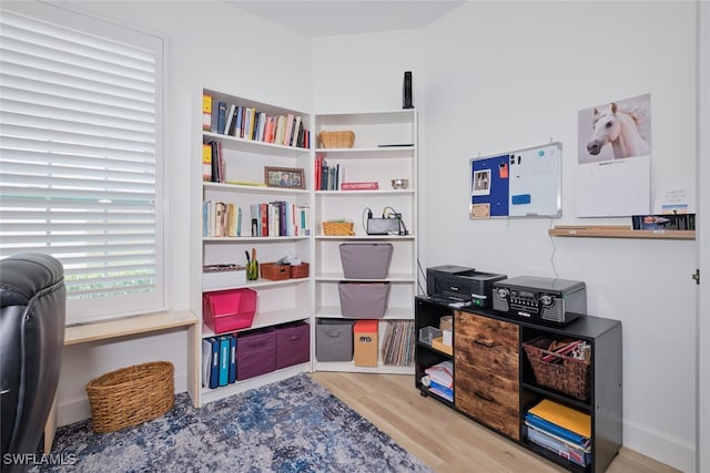 interior space with wood finished floors