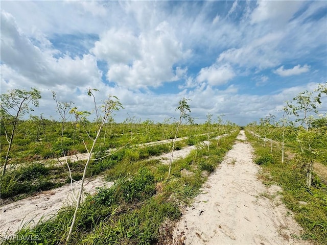 4276 2nd Rd, Labelle FL, 33935 land for sale