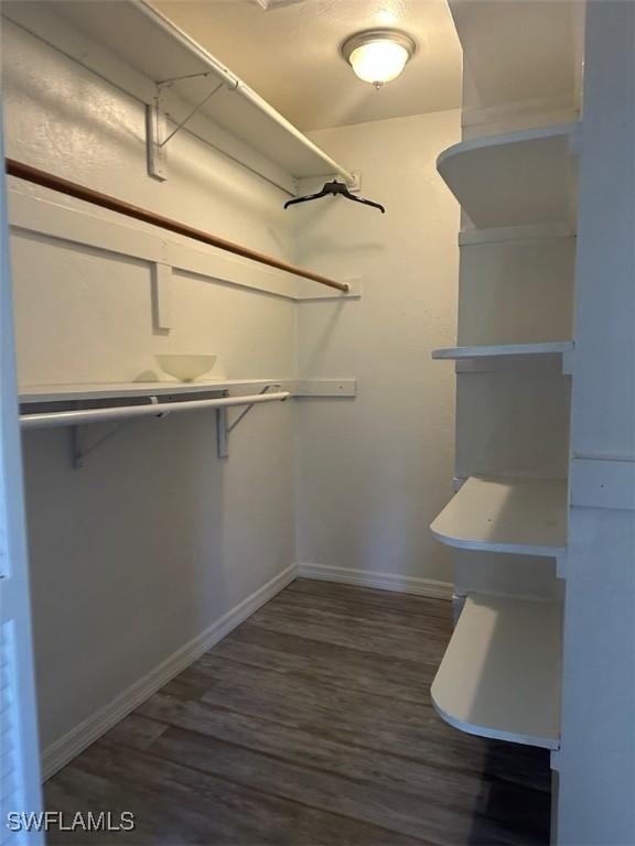 walk in closet featuring wood finished floors