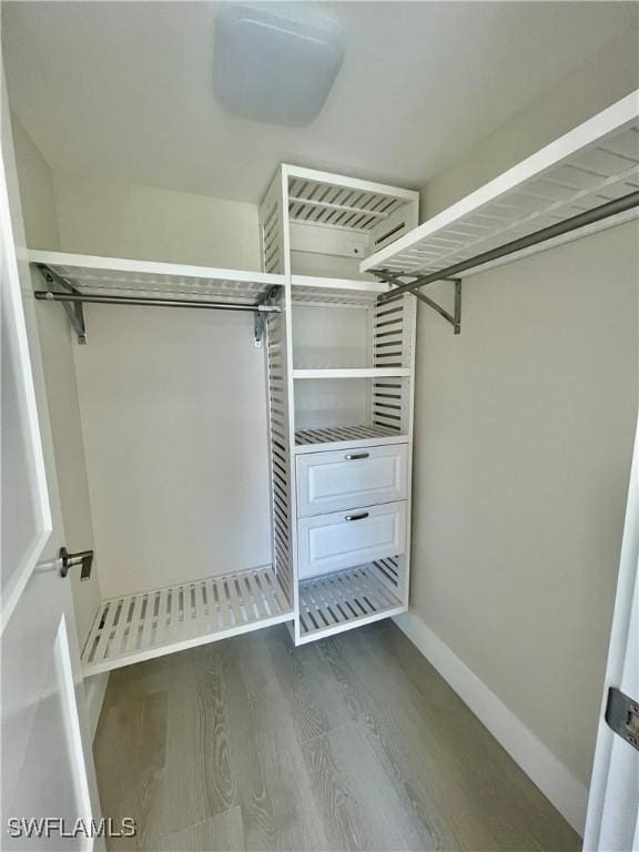 walk in closet with dark wood-style floors