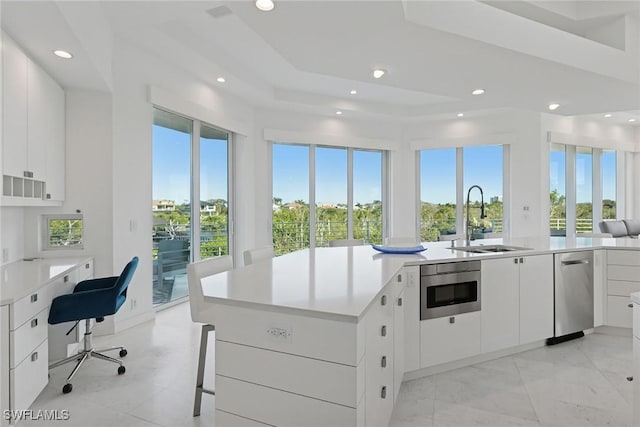 kitchen featuring light countertops, a wealth of natural light, and a sink