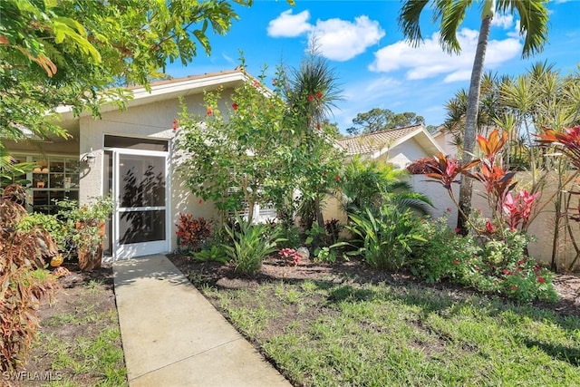 view of front of home with stucco siding