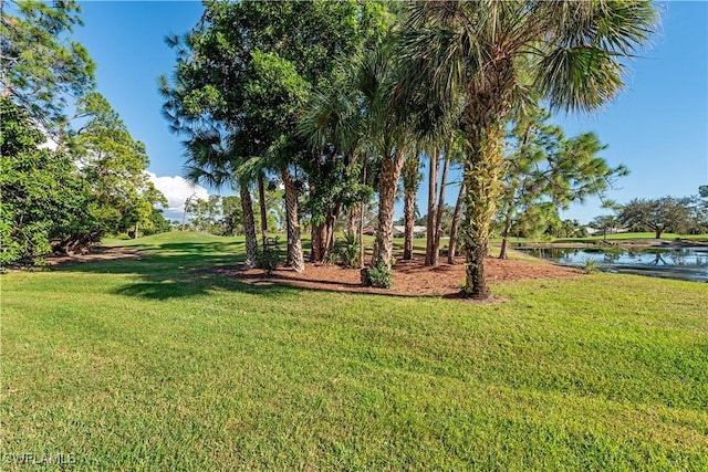 view of grassy yard with a water view