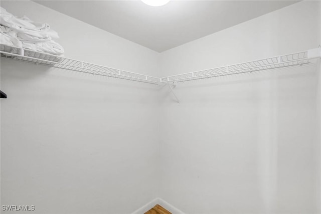 spacious closet featuring wood finished floors