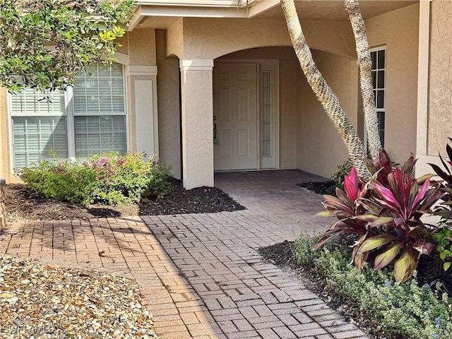 view of exterior entry featuring stucco siding