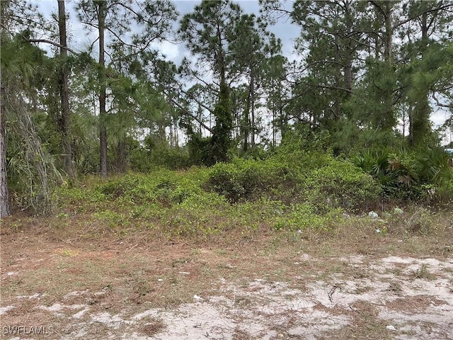 1013/1015 W 12th St, Lehigh Acres FL, 33972 land for sale