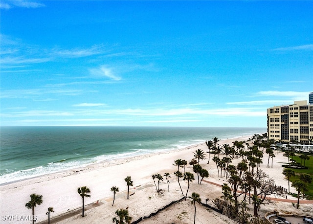 view of water feature featuring a view of the beach