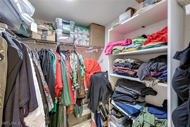 view of walk in closet