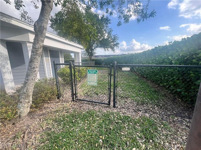 view of yard with fence and a gate